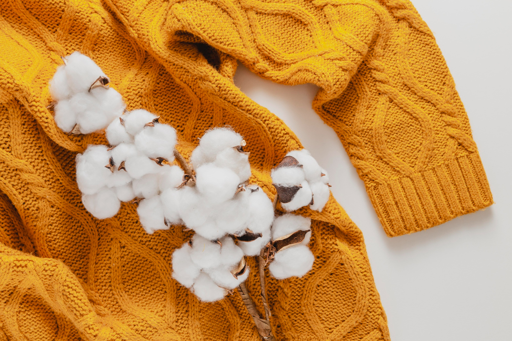ผ้าฝ้าย 100% คือผ้าที่ผลิตจากเส้นใยฝ้ายทั้งหมด (cotton fibers) ไม่ผสมเส้นใยประเภทอื่น เส้นใยฝ้ายมาจาก “ปุย” ที่ล้อมรอบเมล็ดฝ้าย