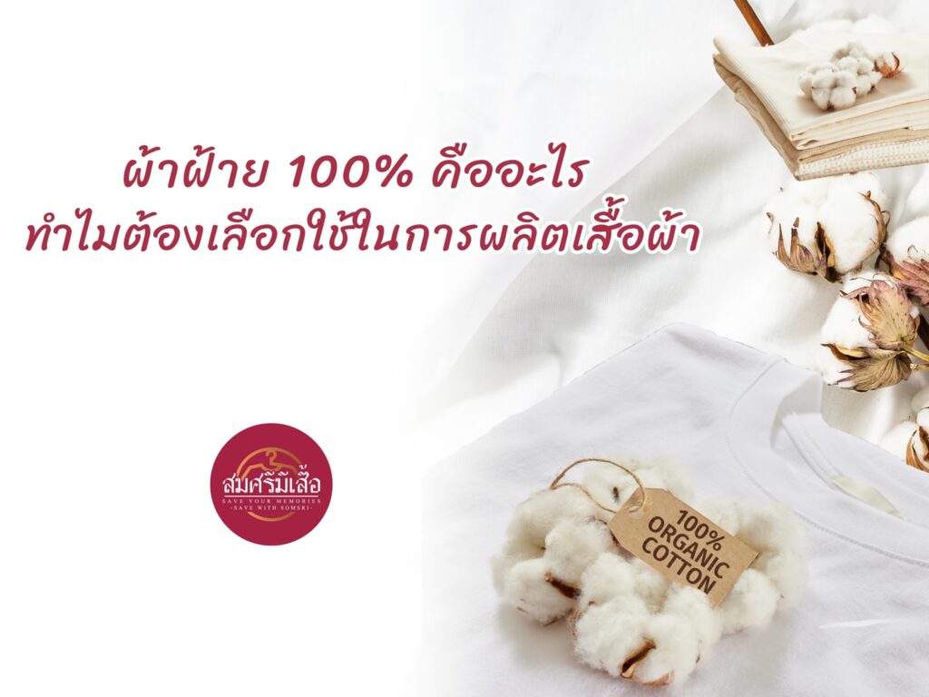 ผ้าฝ้าย 100% คืออะไร ทำไมต้องเลือกใช้ในการผลิตเสื้อผ้า